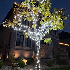 Beautiful-Christmas-Lights-in-Montreal 7